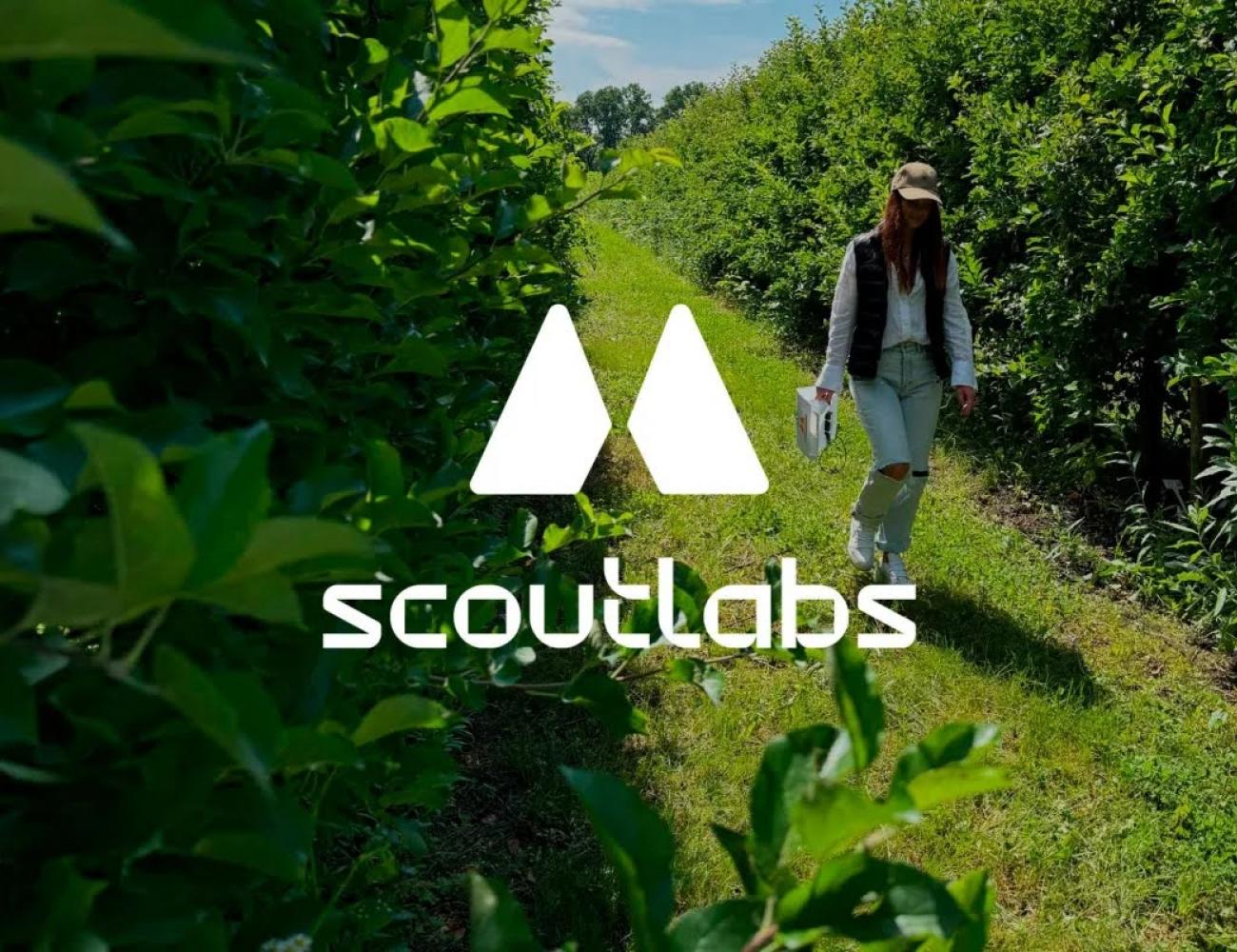 scoutlabs